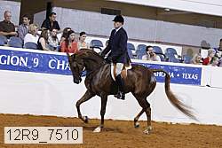 12r9_7510 proof