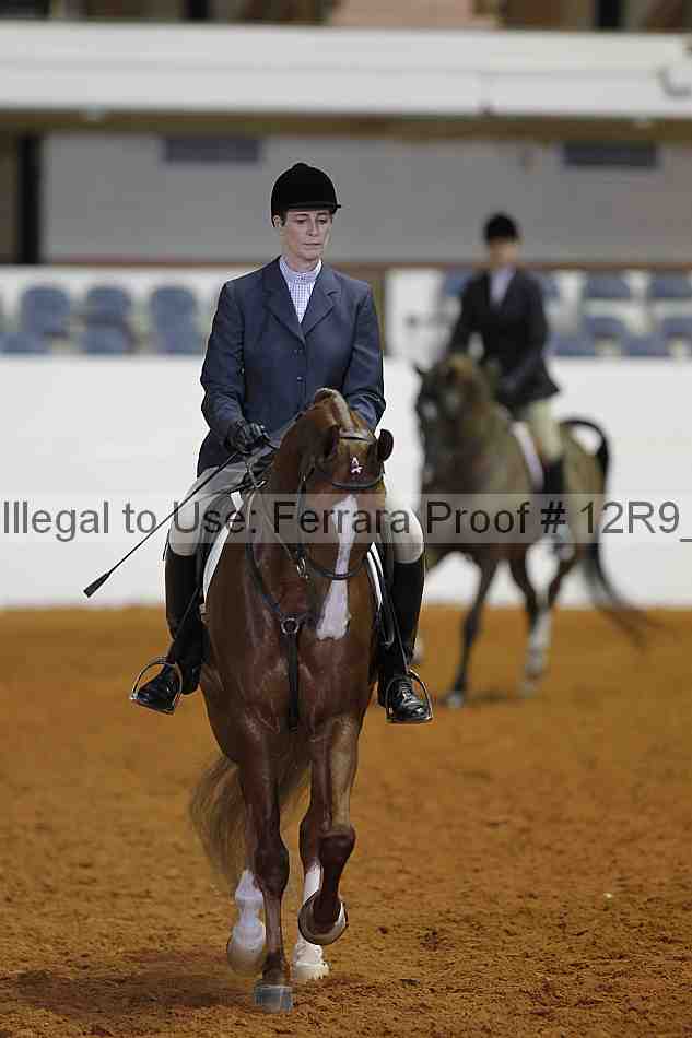 Proof 12r9_7518