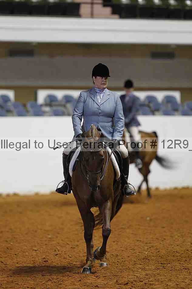 Proof 12r9_7528