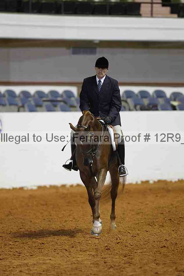 Proof 12r9_7543