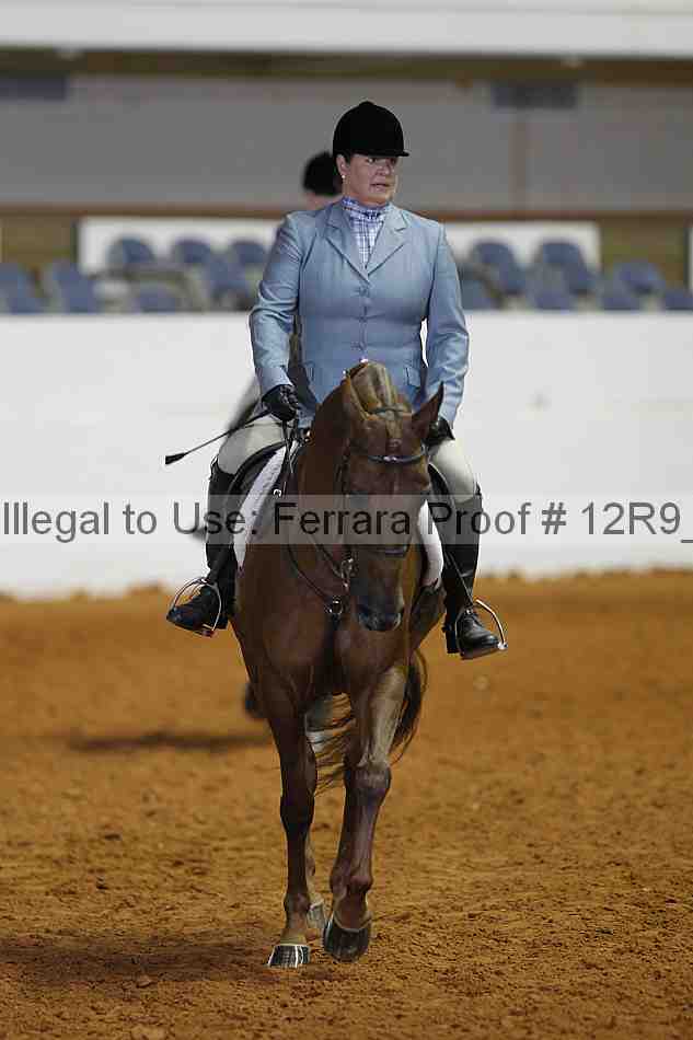 Proof 12r9_7546
