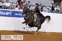 12r9_7618 proof