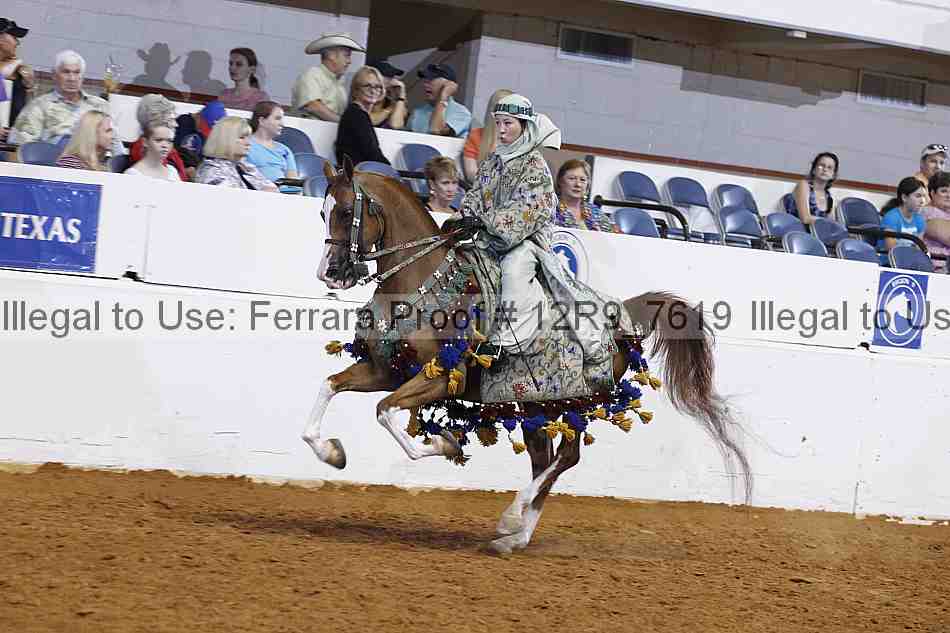 Proof 12r9_7619