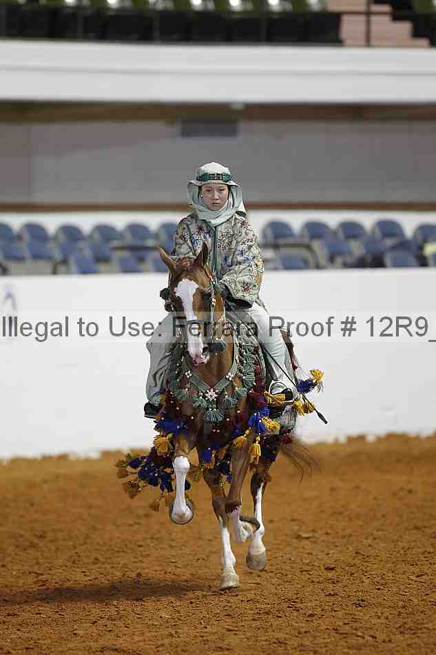 Proof 12r9_7627