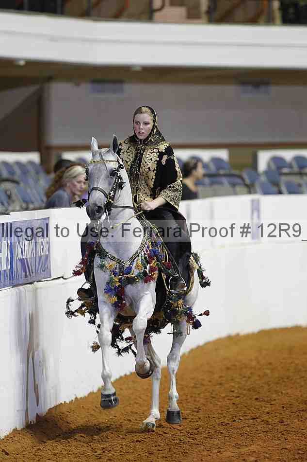 Proof 12r9_7628