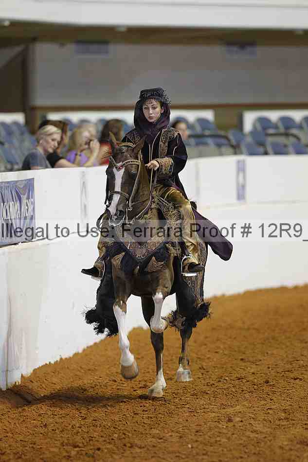 Proof 12r9_7631