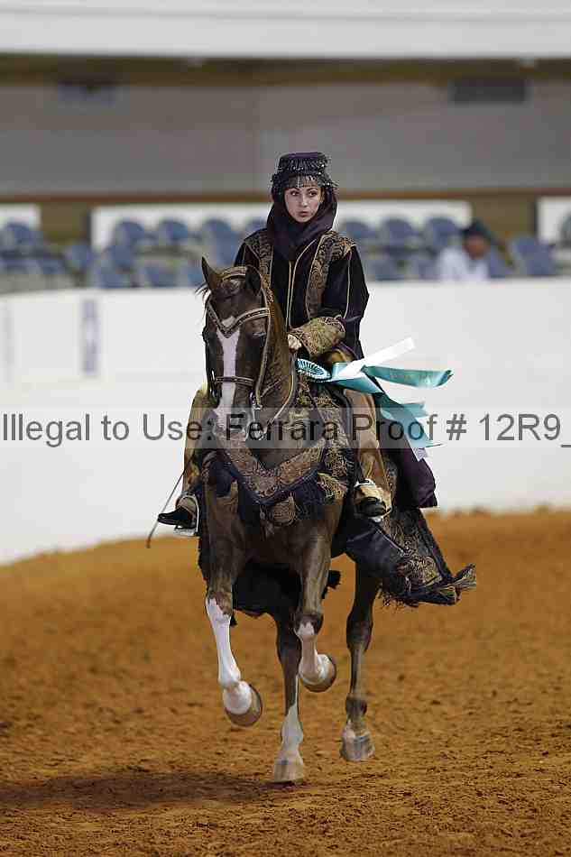 Proof 12r9_7660