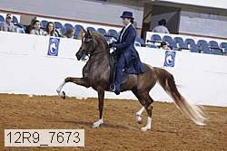 12r9_7673 proof