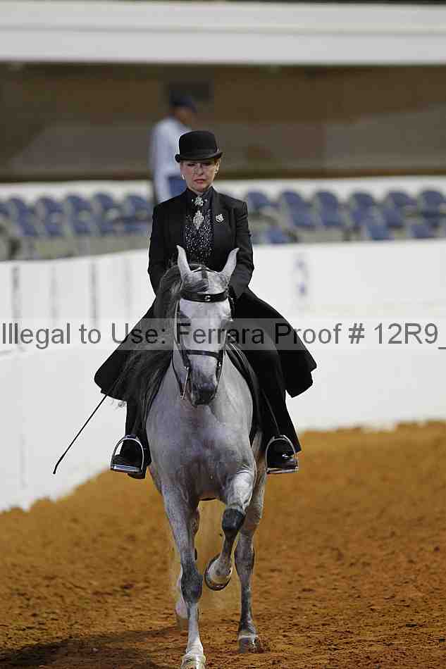 Proof 12r9_7678