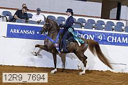 12r9_7694 proof
