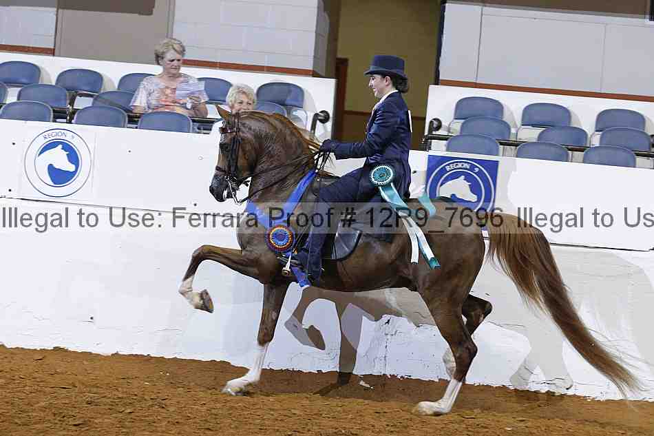 Proof 12r9_7696