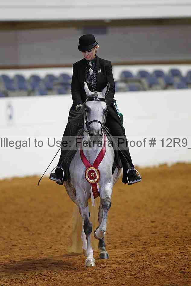 Proof 12r9_7698