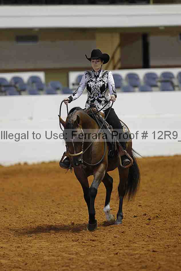 Proof 12r9_7716