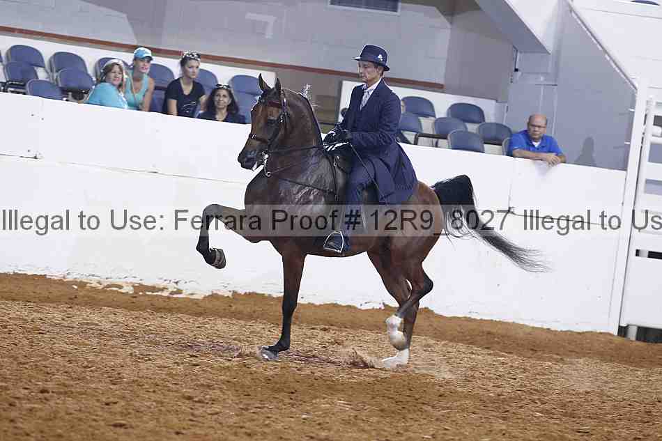 Proof 12r9_8027