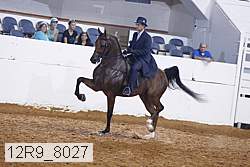 12r9_8027 proof