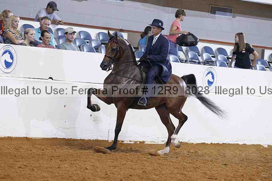 Proof 12r9_8028