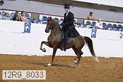 12r9_8033 proof