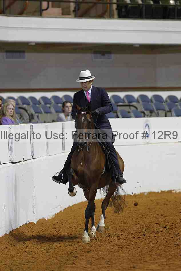 Proof 12r9_8035