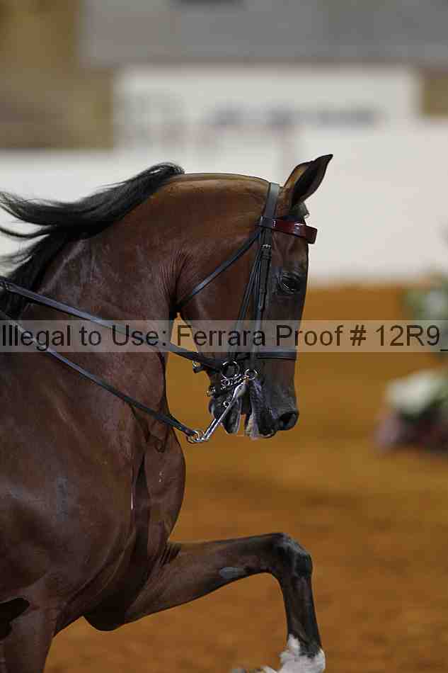 Proof 12r9_8037