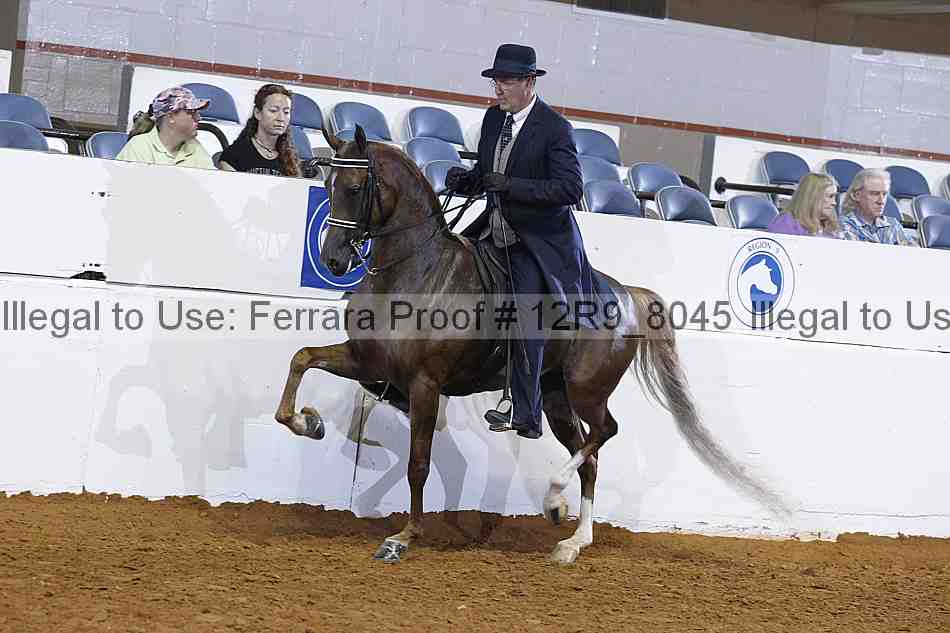 Proof 12r9_8045