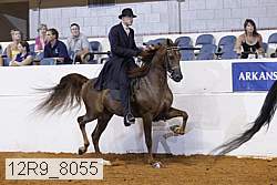 12r9_8055 proof