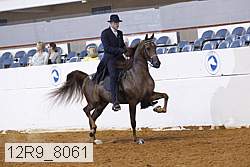12r9_8061 proof