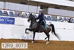 12r9_8073 proof