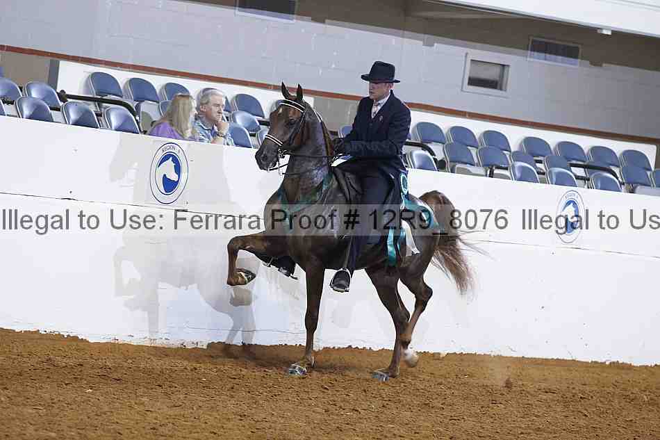 Proof 12r9_8076