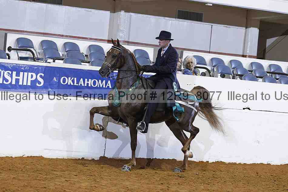 Proof 12r9_8077