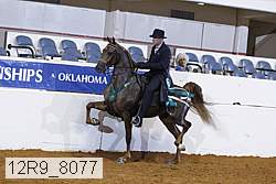 12r9_8077 proof