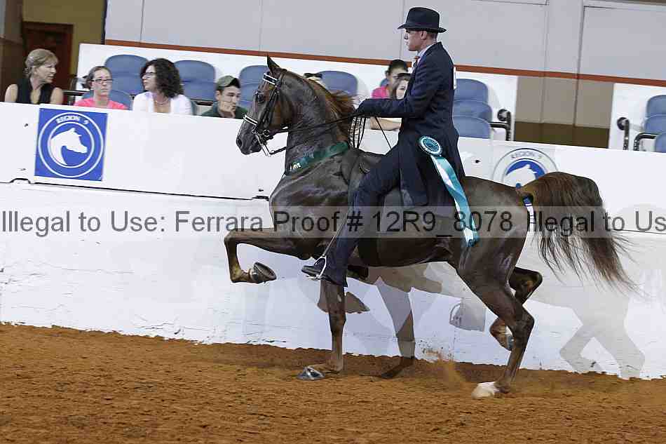 Proof 12r9_8078