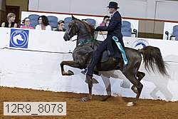12r9_8078 proof