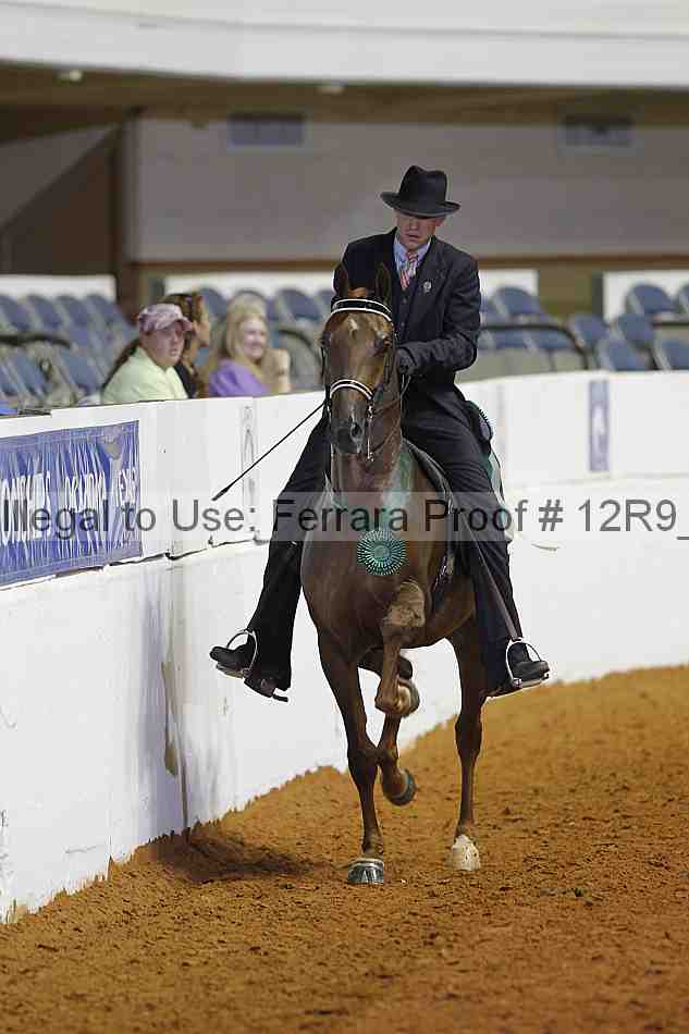 Proof 12r9_8088