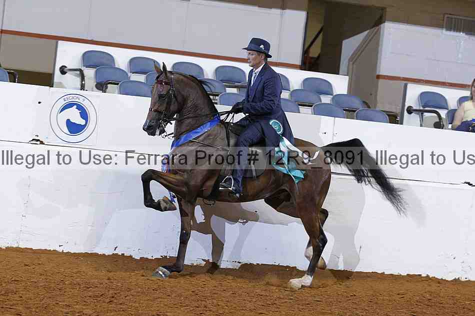 Proof 12r9_8091