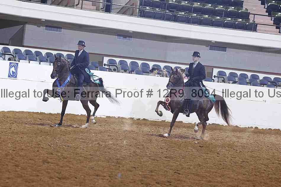 Proof 12r9_8094
