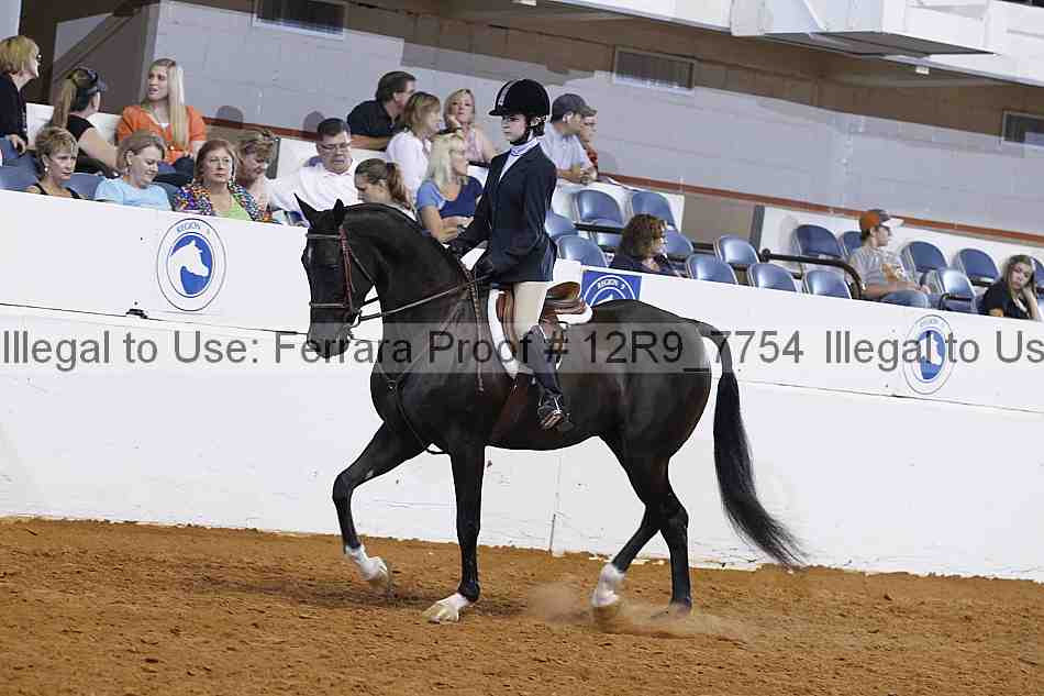 Proof 12r9_7754
