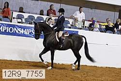 12r9_7755 proof
