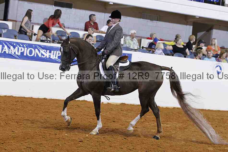 Proof 12r9_7758