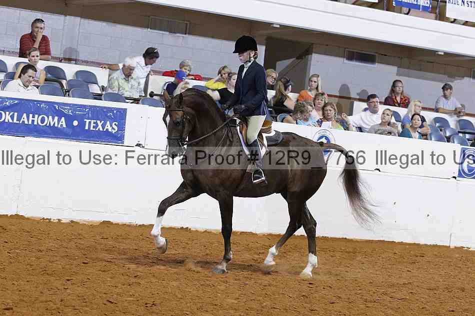 Proof 12r9_7766