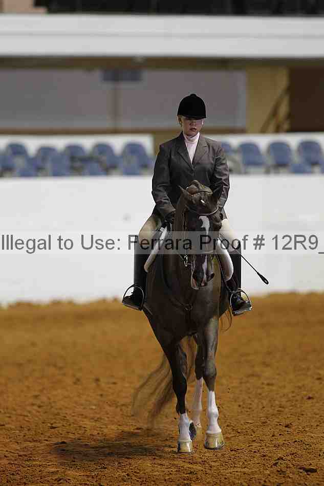 Proof 12r9_7771