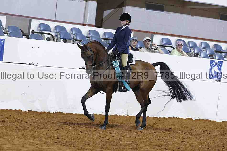 Proof 12r9_7785