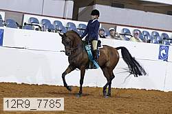 12r9_7785 proof