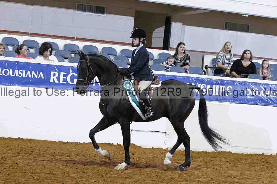 Proof 12r9_7790