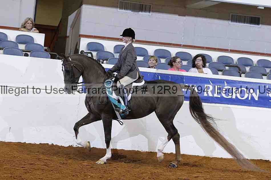 Proof 12r9_7794