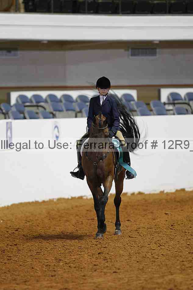 Proof 12r9_7795
