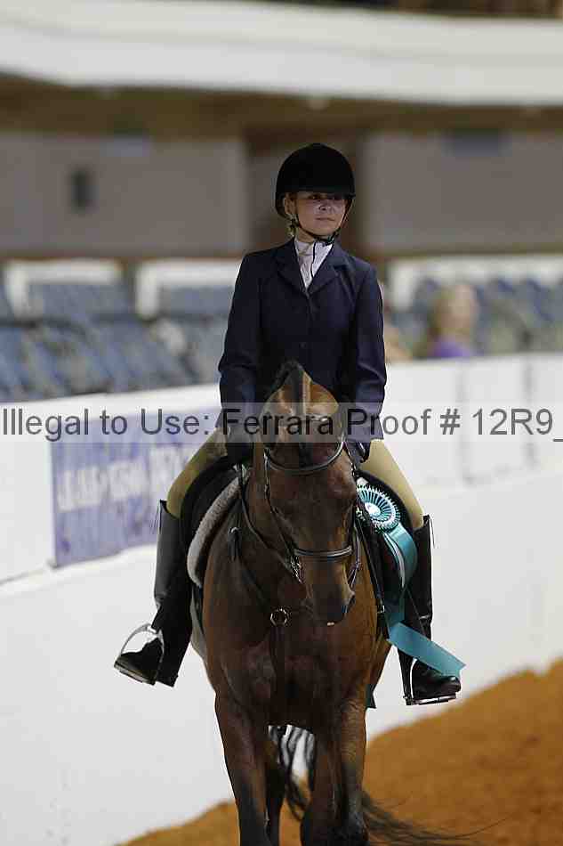 Proof 12r9_7796