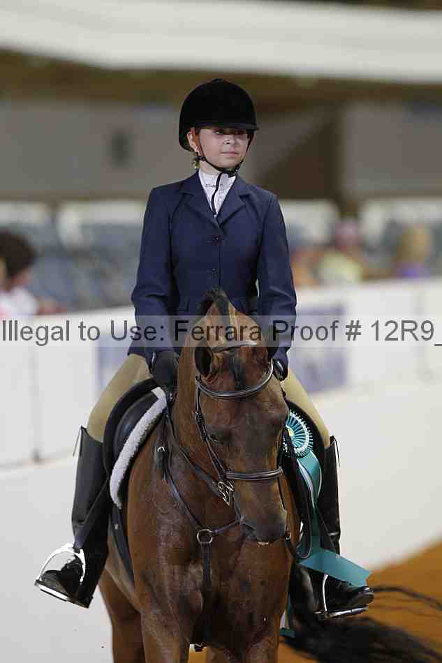 Proof 12r9_7797