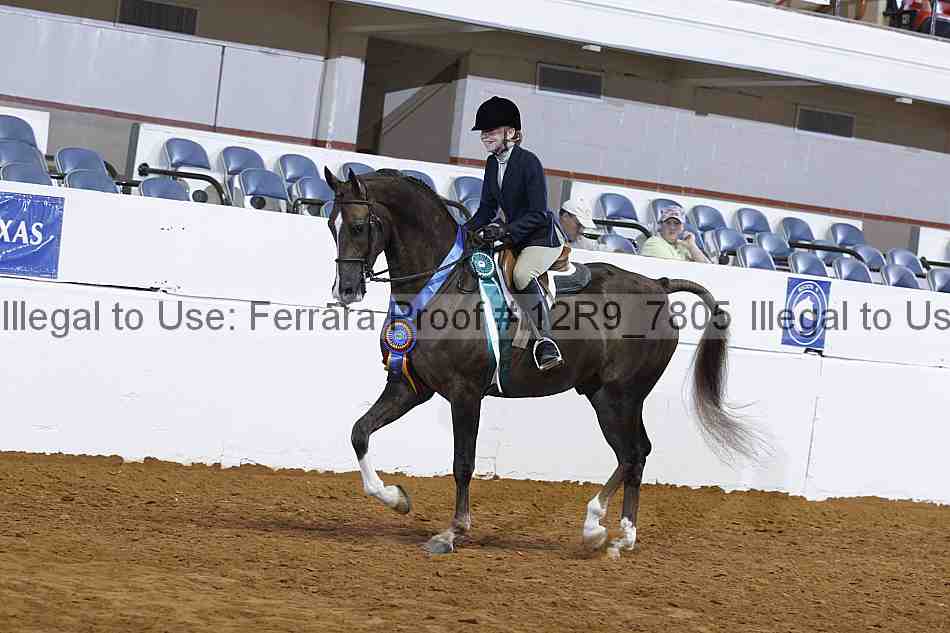 Proof 12r9_7805