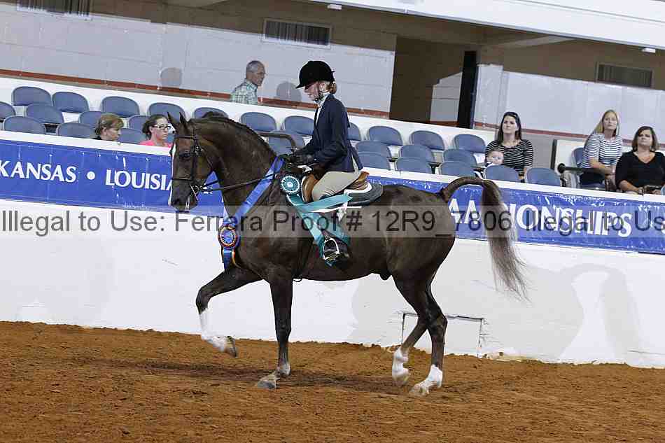 Proof 12r9_7806