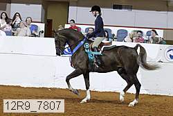 12r9_7807 proof